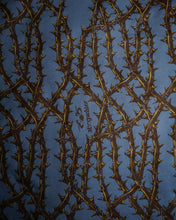 Load image into Gallery viewer, Stingwater Thorn Sweat Shorts Blue