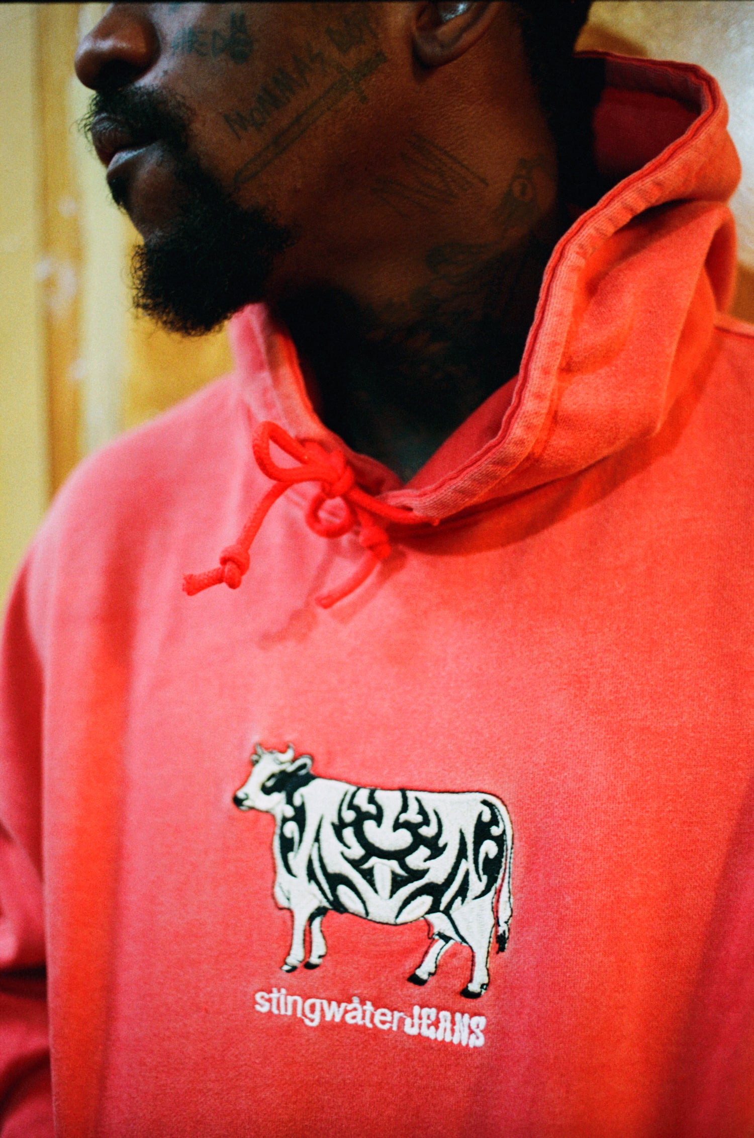 Tatted Kow Hoodie Faded Red