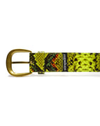 The Vein Belt Green Snake