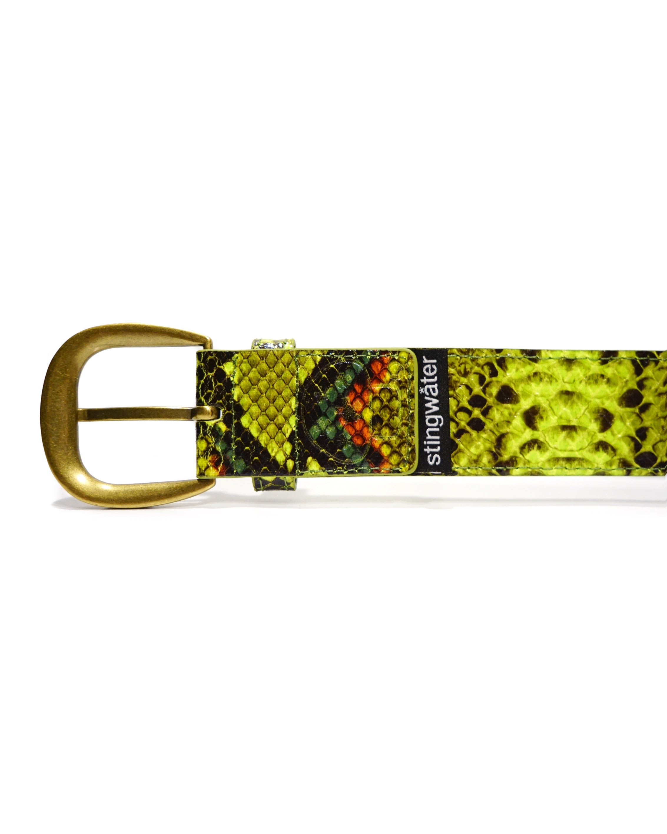 The Vein Belt Green Snake