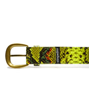 Load image into Gallery viewer, Stingwater Vein Belt Green Snake
