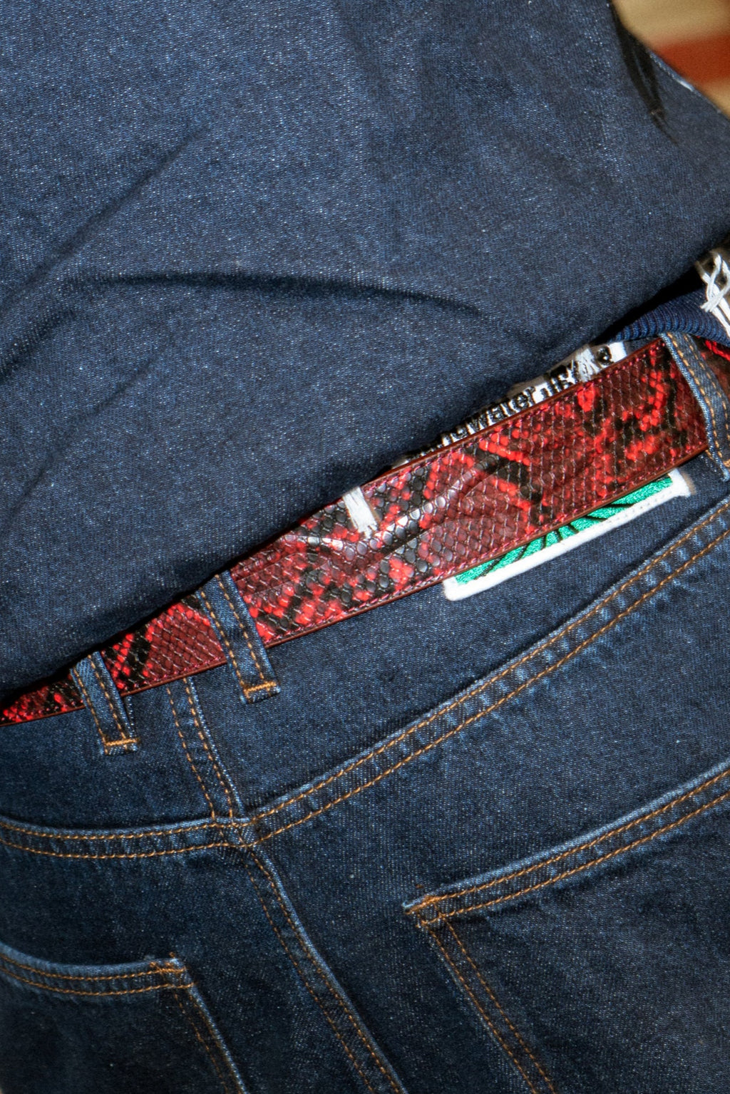 The Vein Belt Red Snake