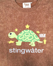 Load image into Gallery viewer, Stingwater Turtle T-Shirt Acid Brown
