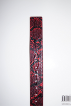 The Vein Belt Red Snake