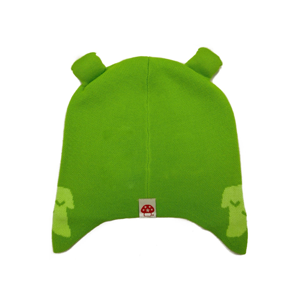 Duo Crisis Beanie Green