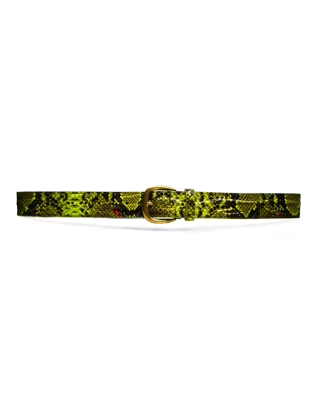 The Vein Belt Green Snake