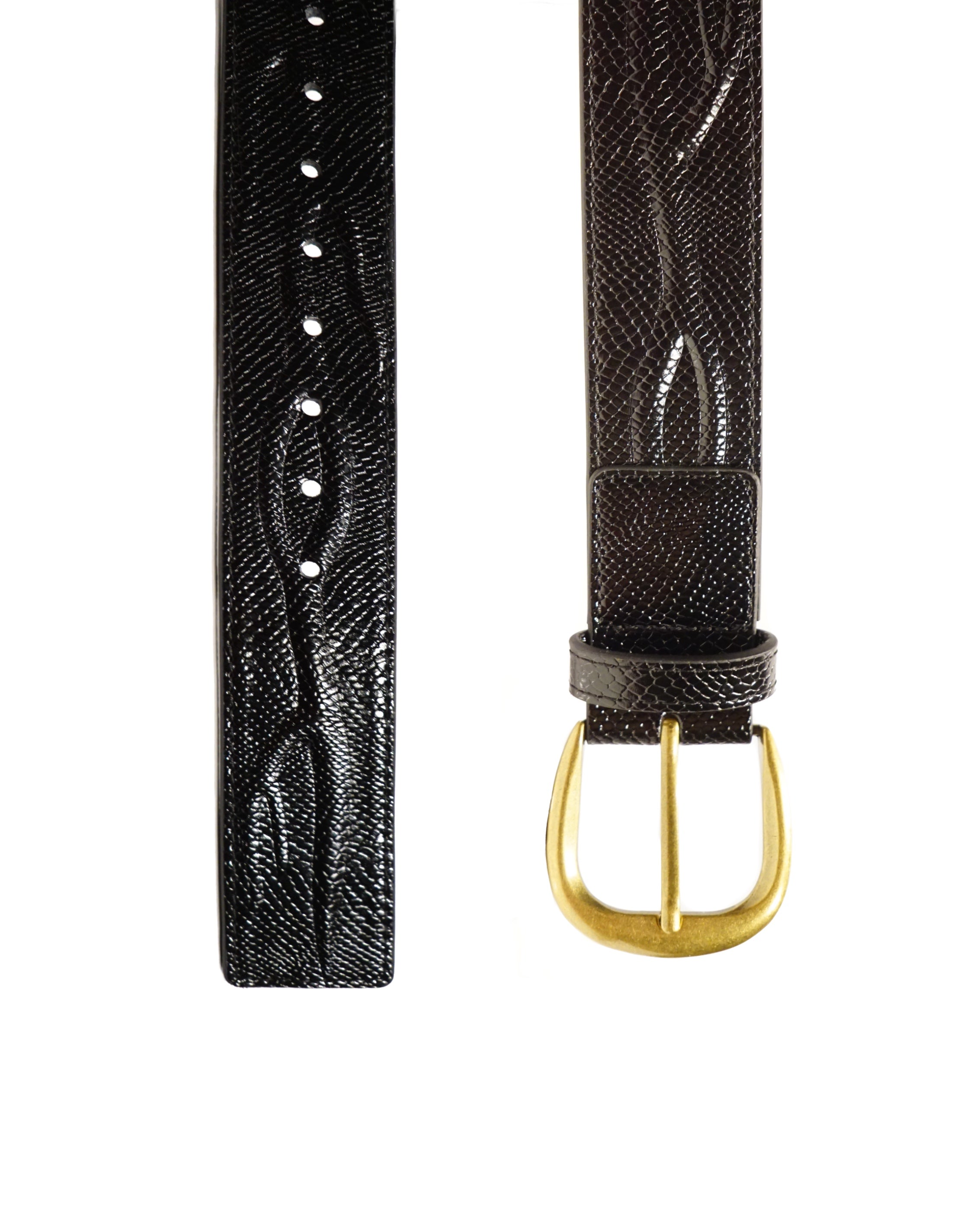 The Vein Belt Black Snake
