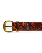 The Vein Belt Red Snake