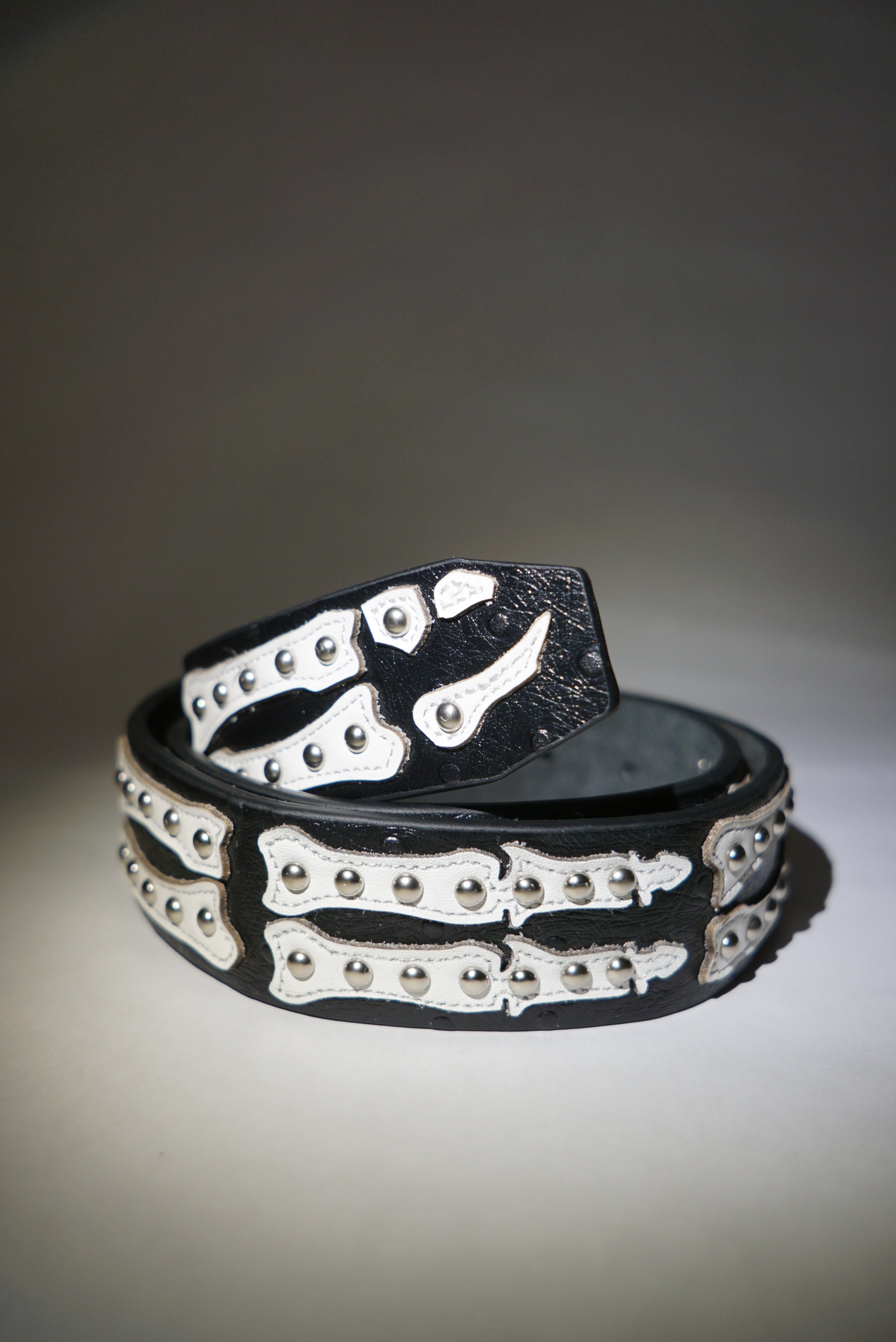 Stingwater Studded Bone Belt Black