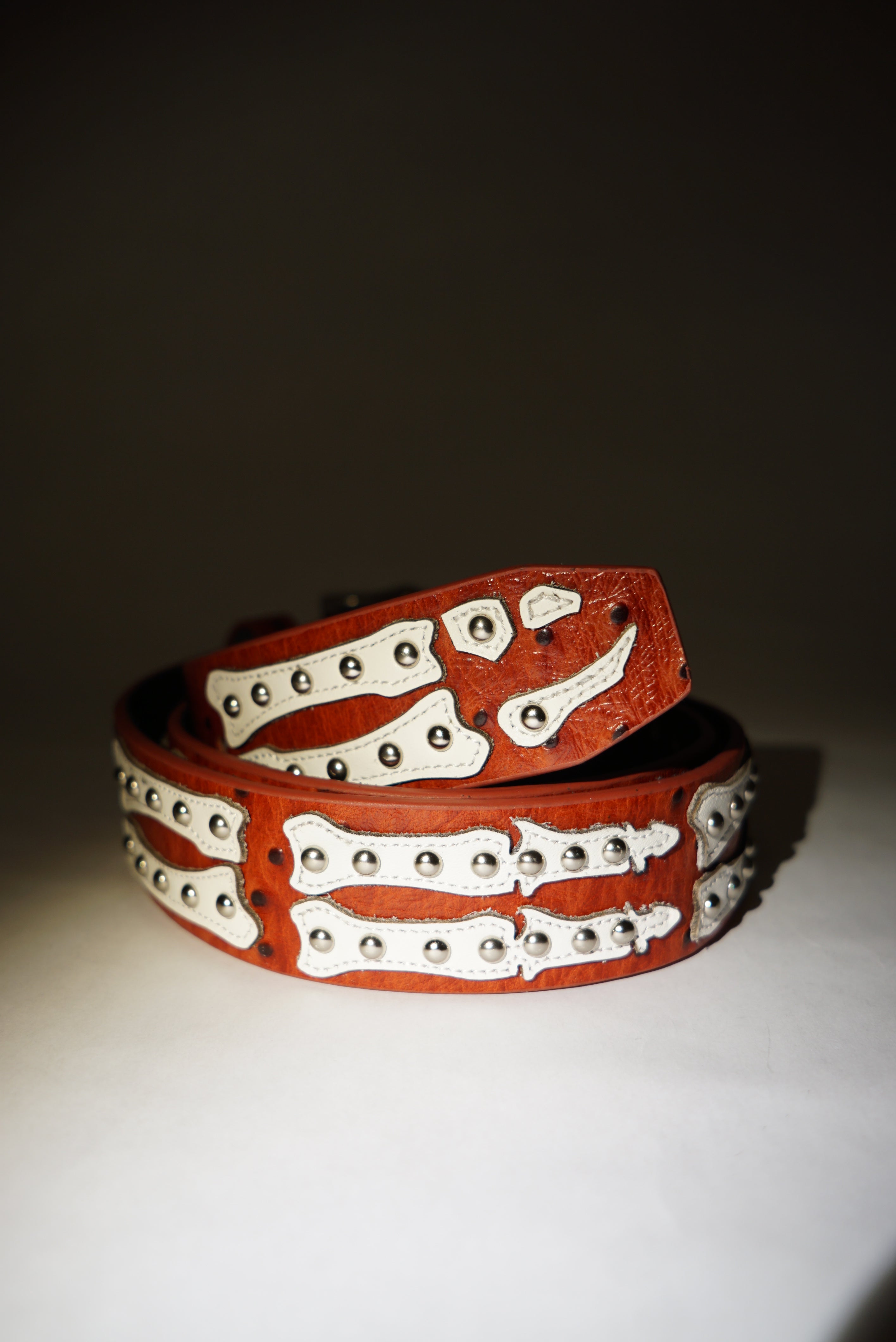 Stingwater Studded Bone Belt Deep Red