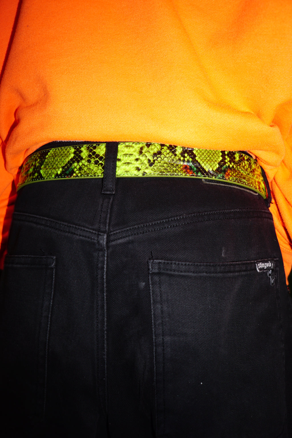 The Vein Belt Green Snake