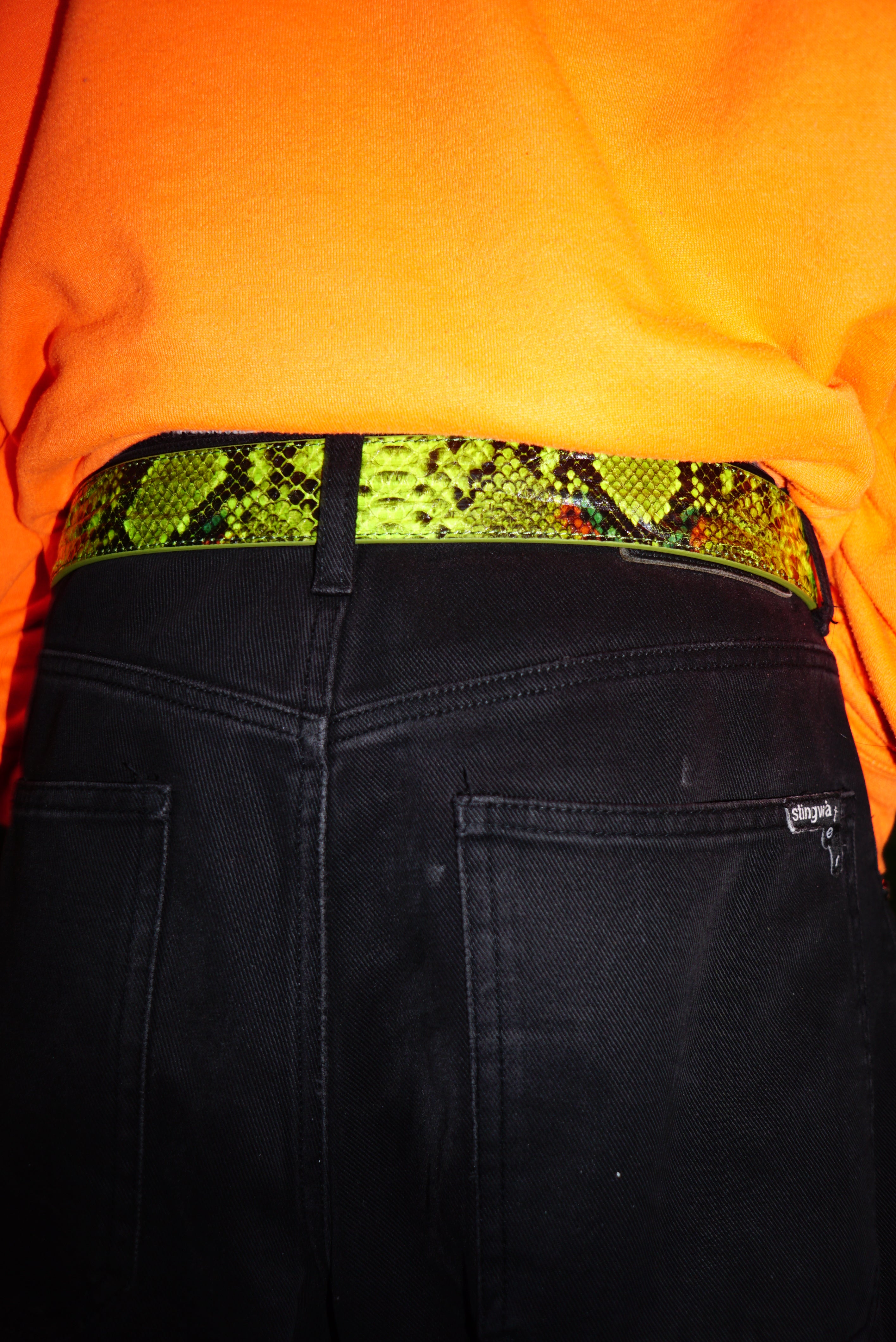 The Vein Belt Green Snake