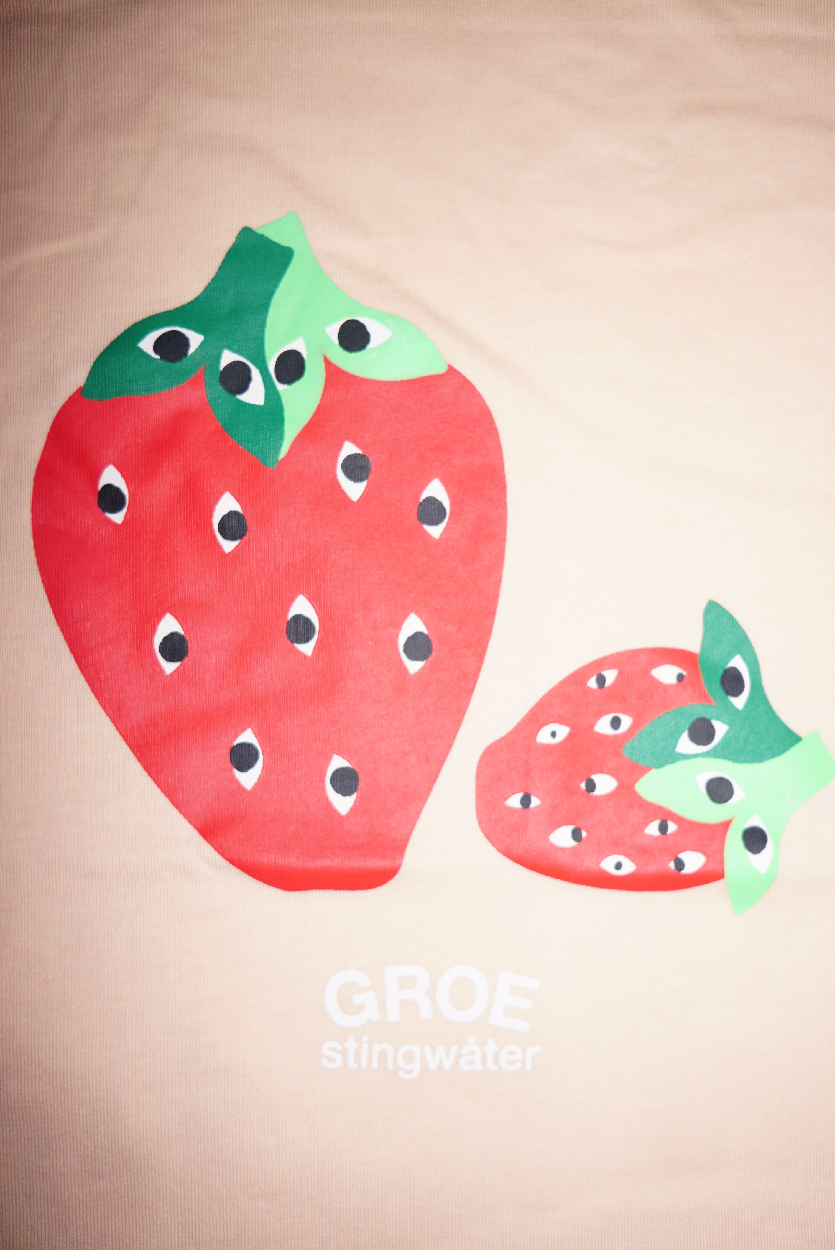 Stingwater Strawberry T-Shirt Light Pink