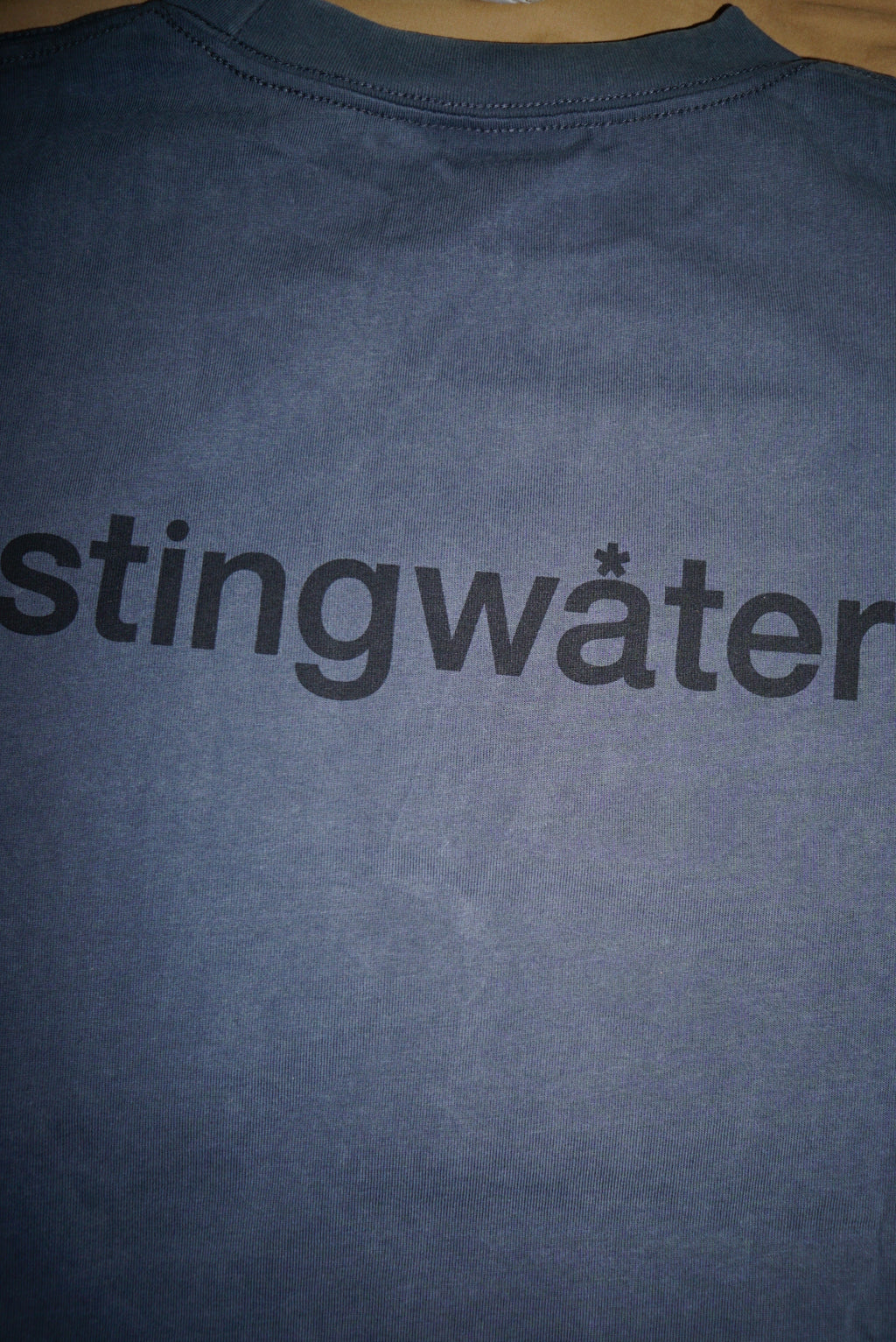 Faded metal gray long sleeve T shirt with 'stingwater' printed on the back