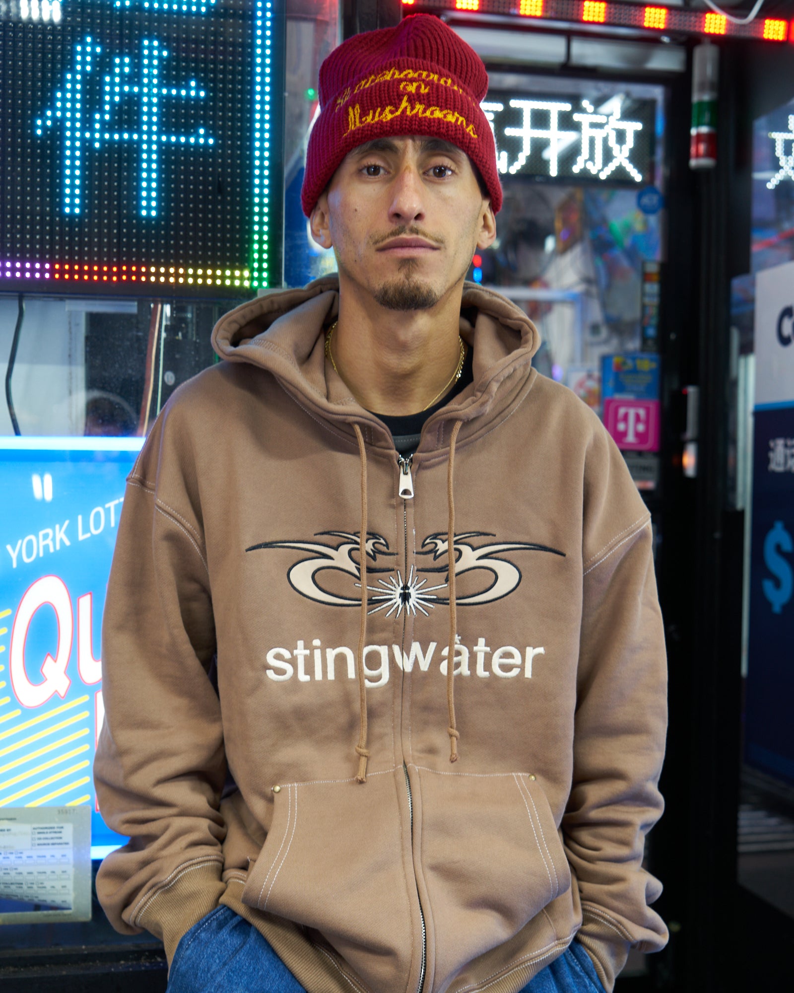Stingwater Moses Hoodie in brown
