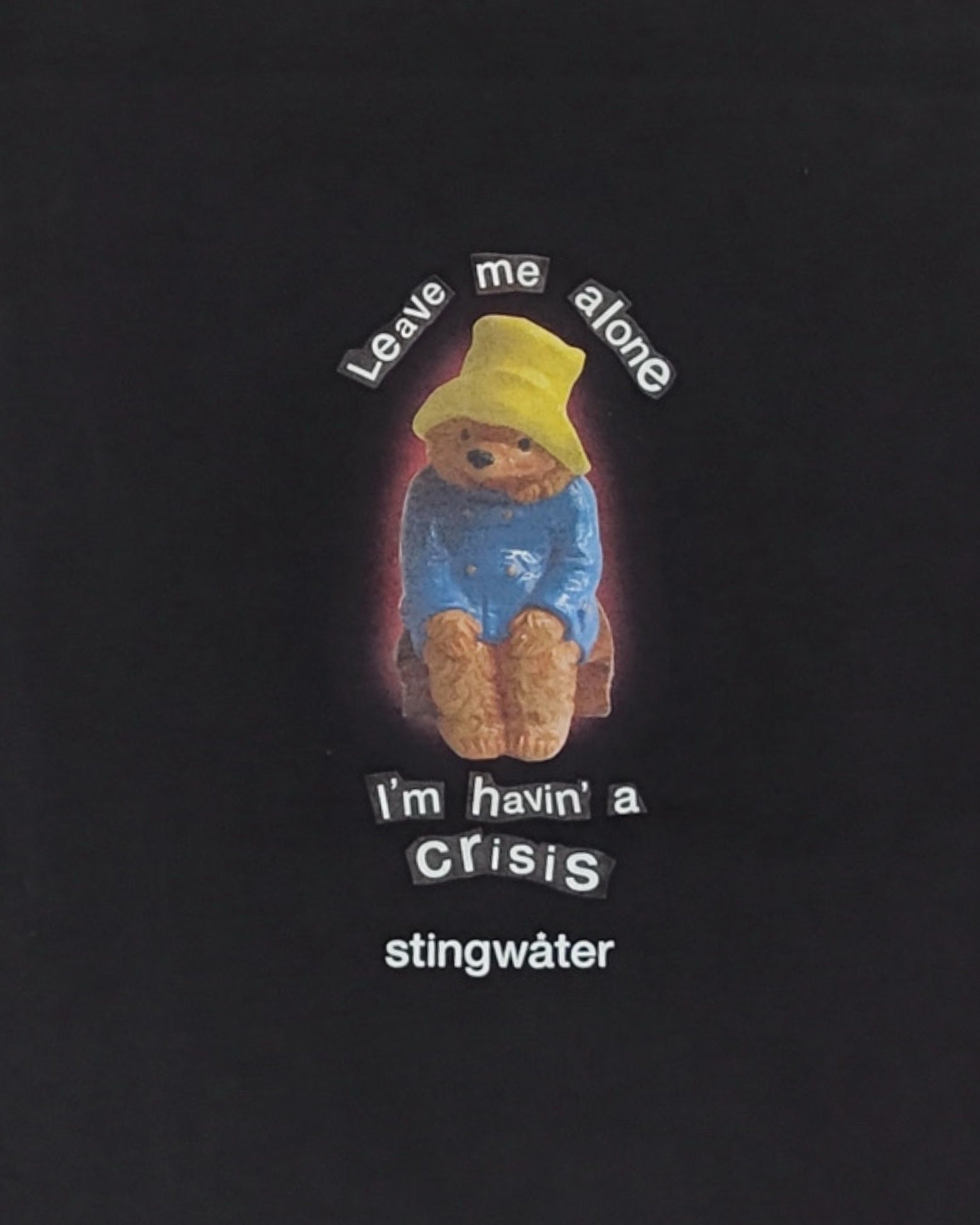 Crisis Bear T-Shirt Faded Black