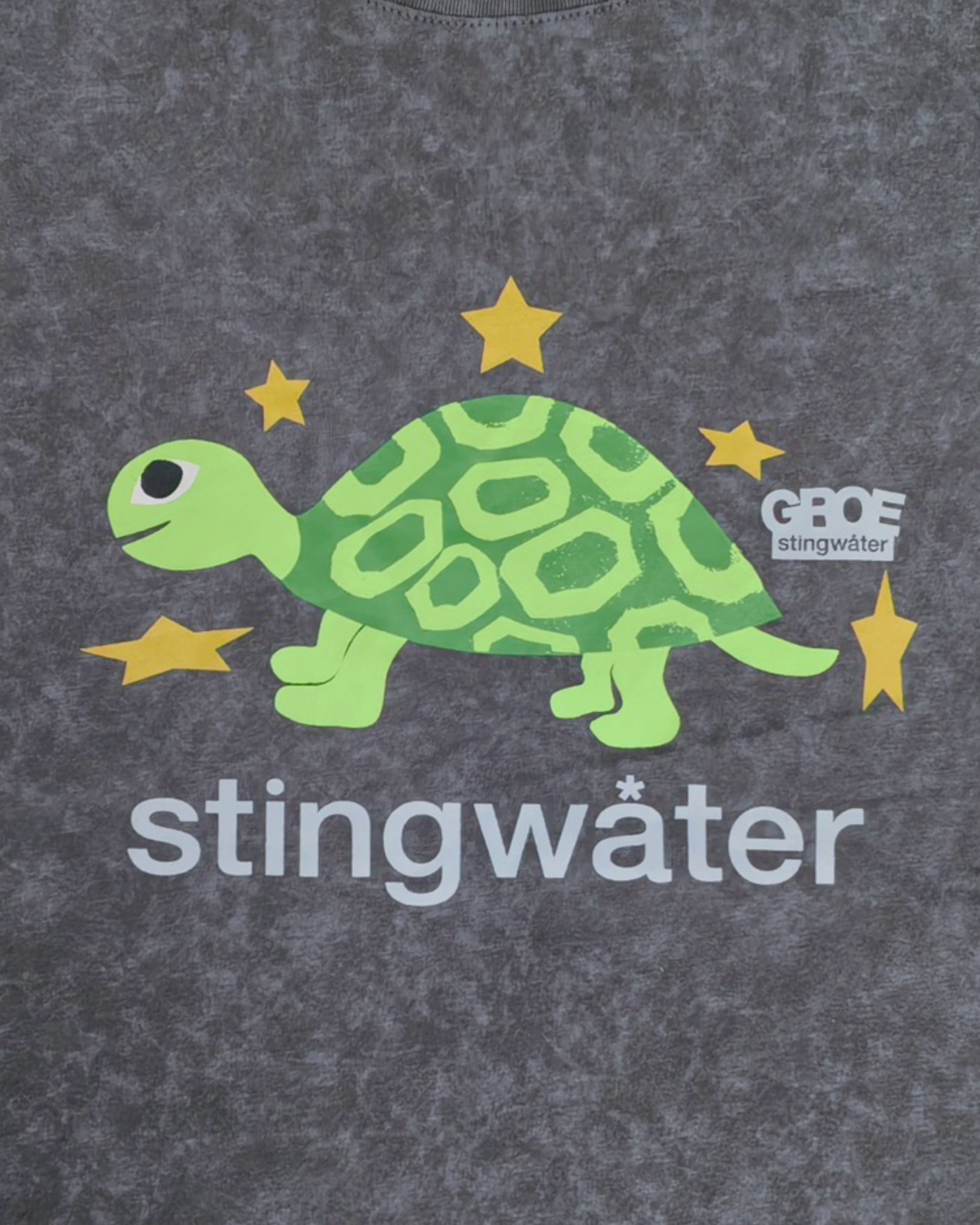 Stingwater Turtle T-Shirt Acid Black