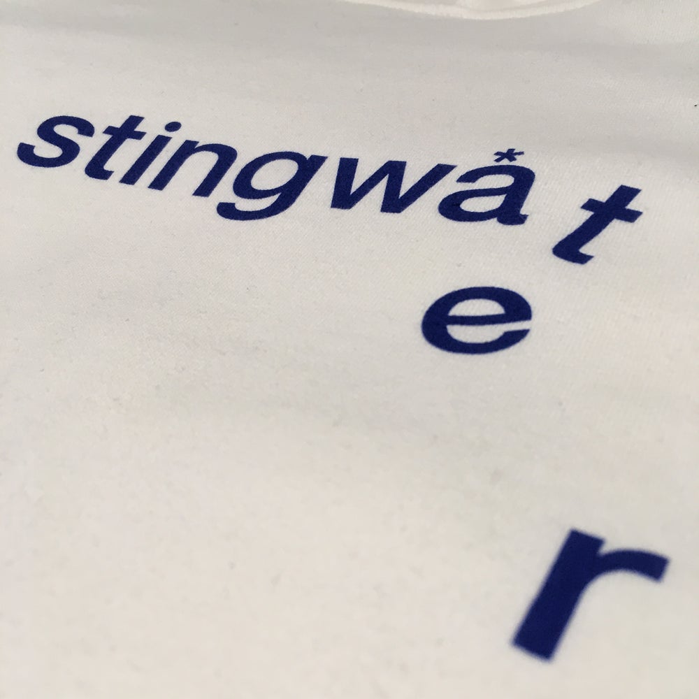 Stingwater Drip Logo Hoodie Bone