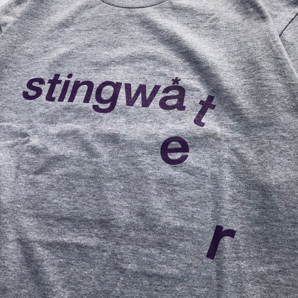 Drip Logo T Shirt Sport Grey