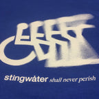 Shall never perish T shirt royal blue