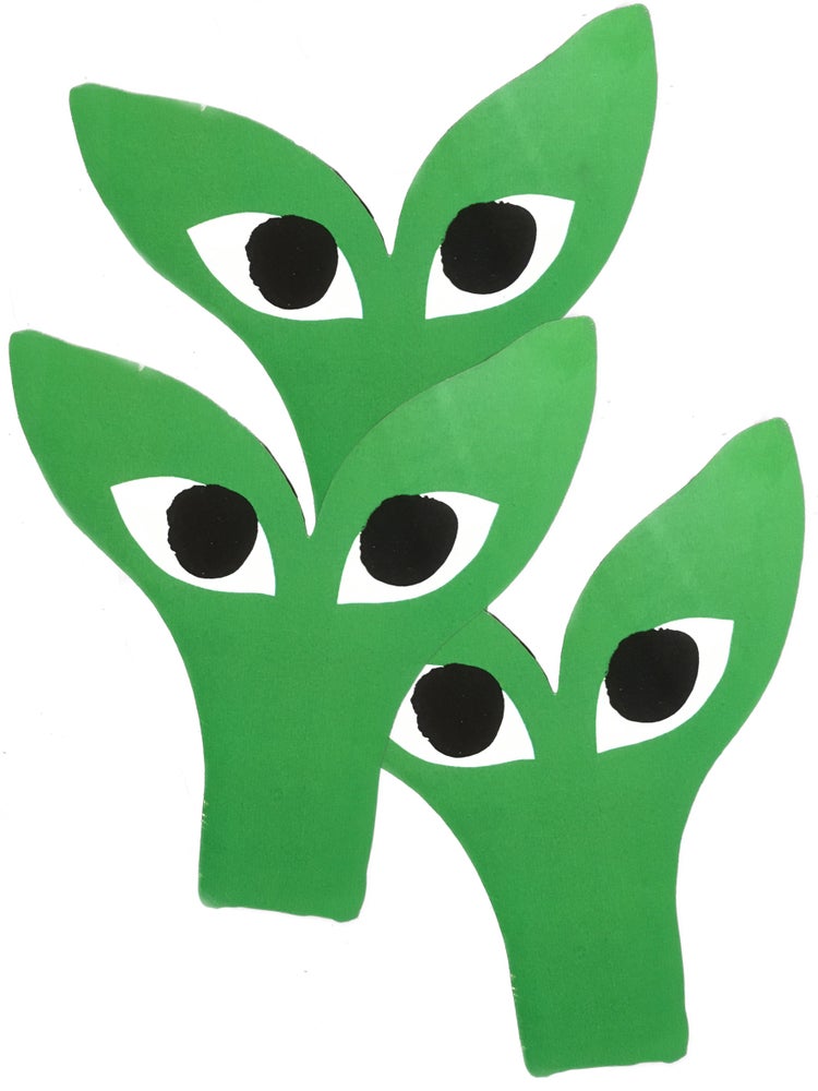 Aapi transfer sticker (3 pcs)