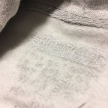 Load image into Gallery viewer, Microdose Hoodie Gray
