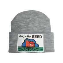 Load image into Gallery viewer, Stingwater Seed Beanie H. Gray
