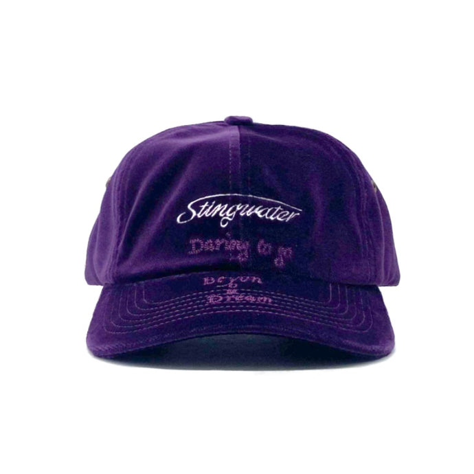 Daring to go Beyon Your Dreams Velvet Hat Royal Purple