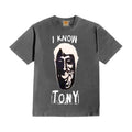 I Know Tony T-Shirt Metal Gray