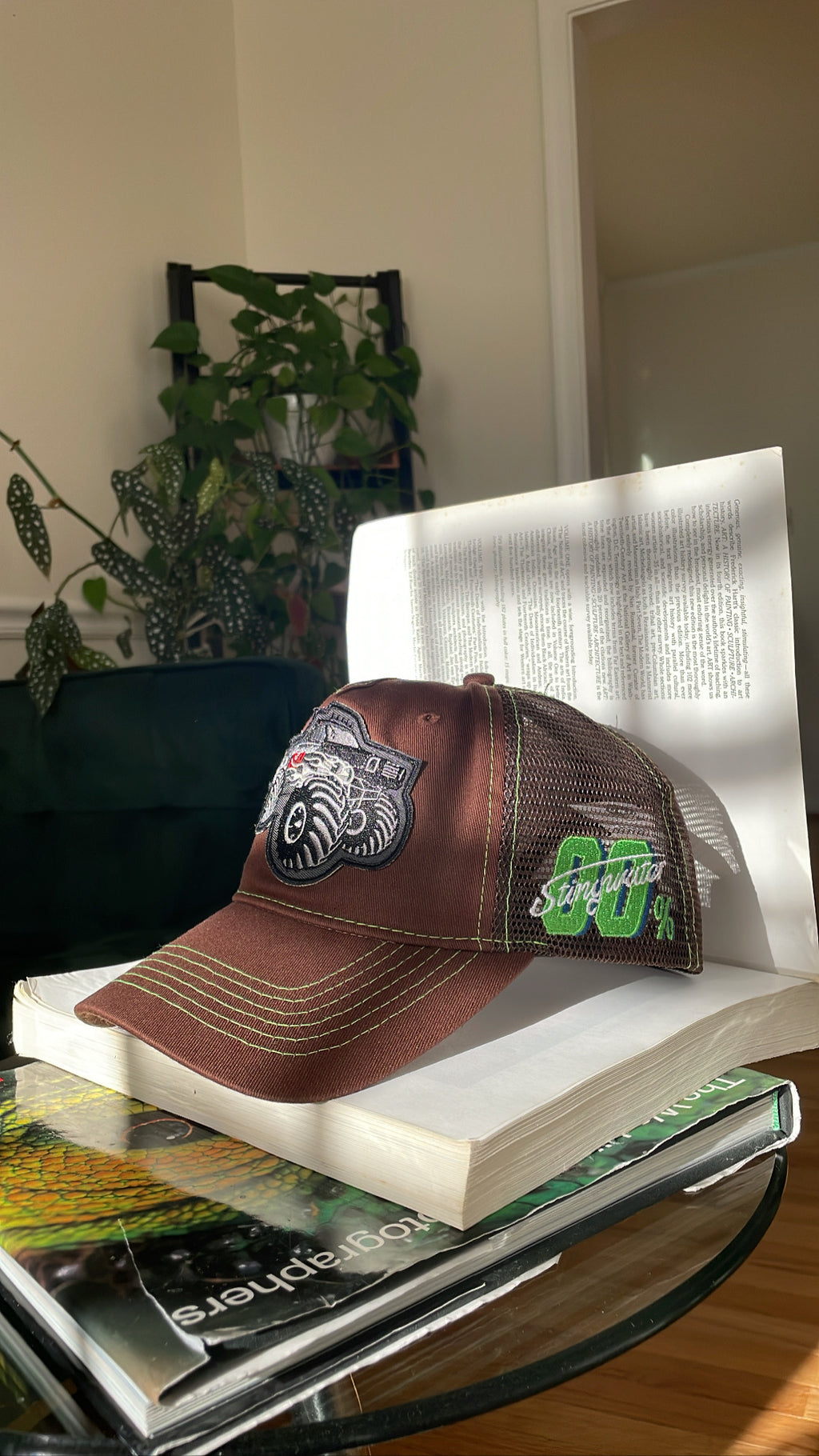 Stingwater Monster Truck Hat Brown