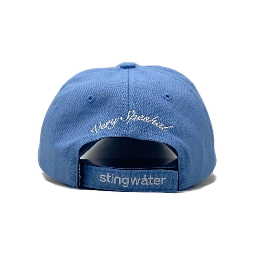 Delusional Fuck Hat BB Blue