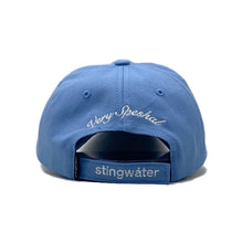 Load image into Gallery viewer, Delusional Fuck Hat BB Blue
